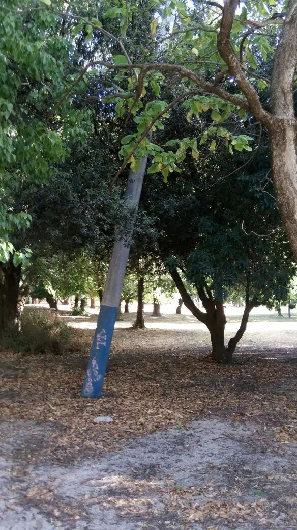 Poste a punto de caerse en el parque