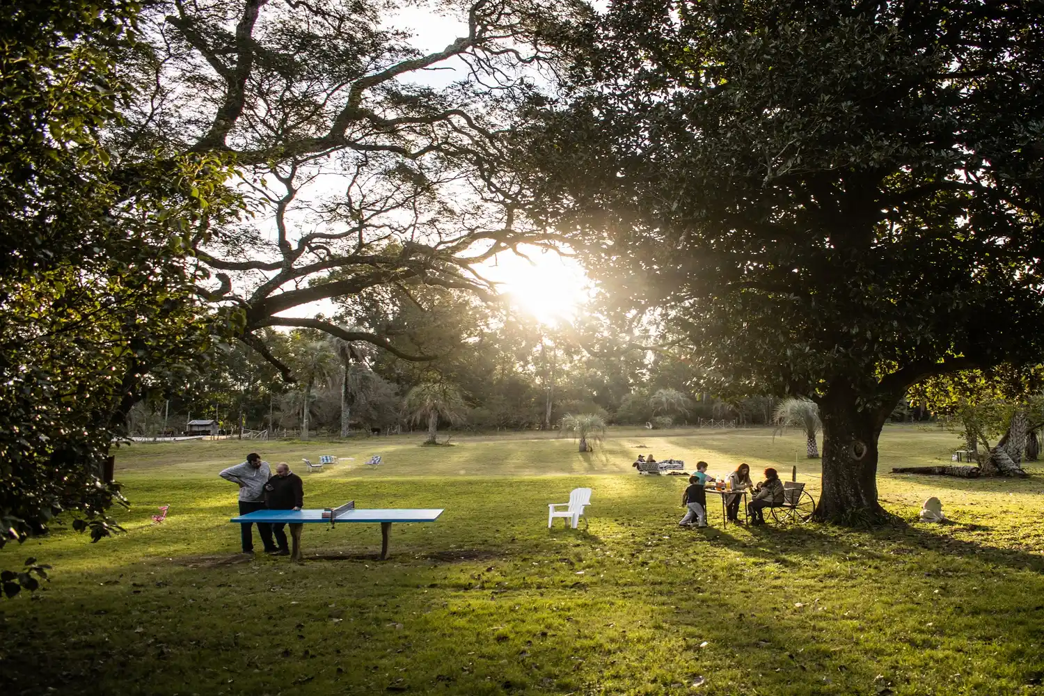 Temporada de verano: Bordet la presentará este viernes