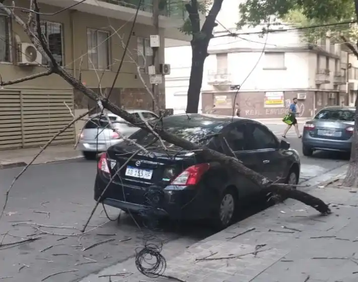 Una rama de gran porte se desprendió del árbol, arrastró cables e impactó contra un automóvil