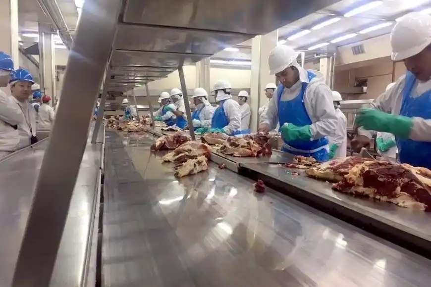 Advierten que Estados Unidos podría dejar de comprar carne a la Argentina