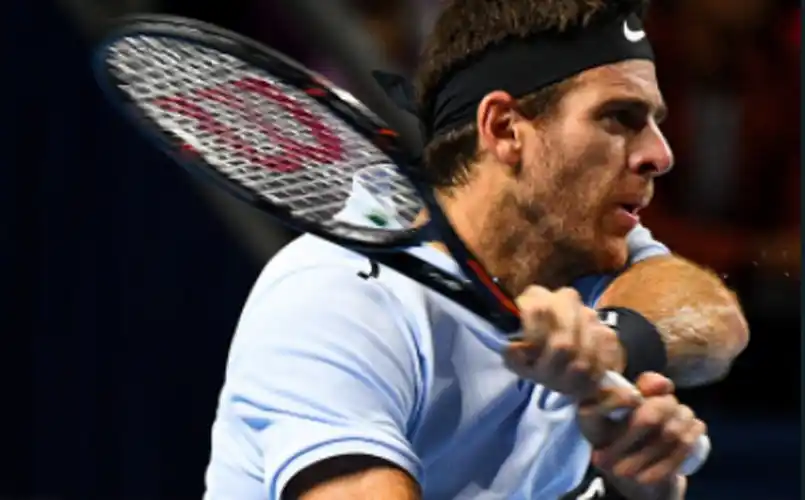 Del Potro volvió a ganar y se acerca al Masters de Londres