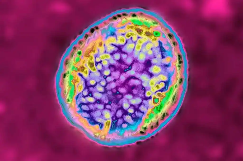 Brote bacteriano infectó a miles tras fuga en fábrica biofarmacéutica en China