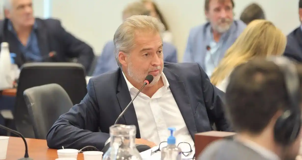 Mirabella presentó un proyecto para promover la movilidad activa en todo el país