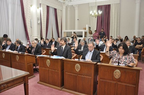 Ley de la Madera: El Senado dio media sanción 