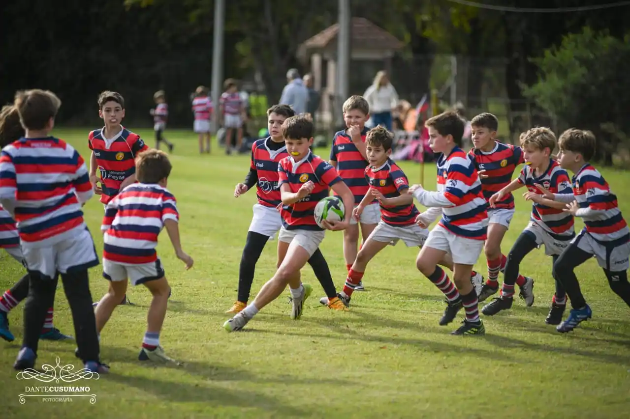 Rugby - 2