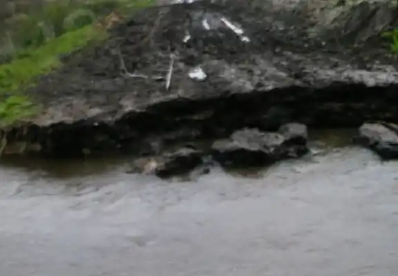 Por las intensas lluvias, se derrumbó el camino del arroyo Venerato