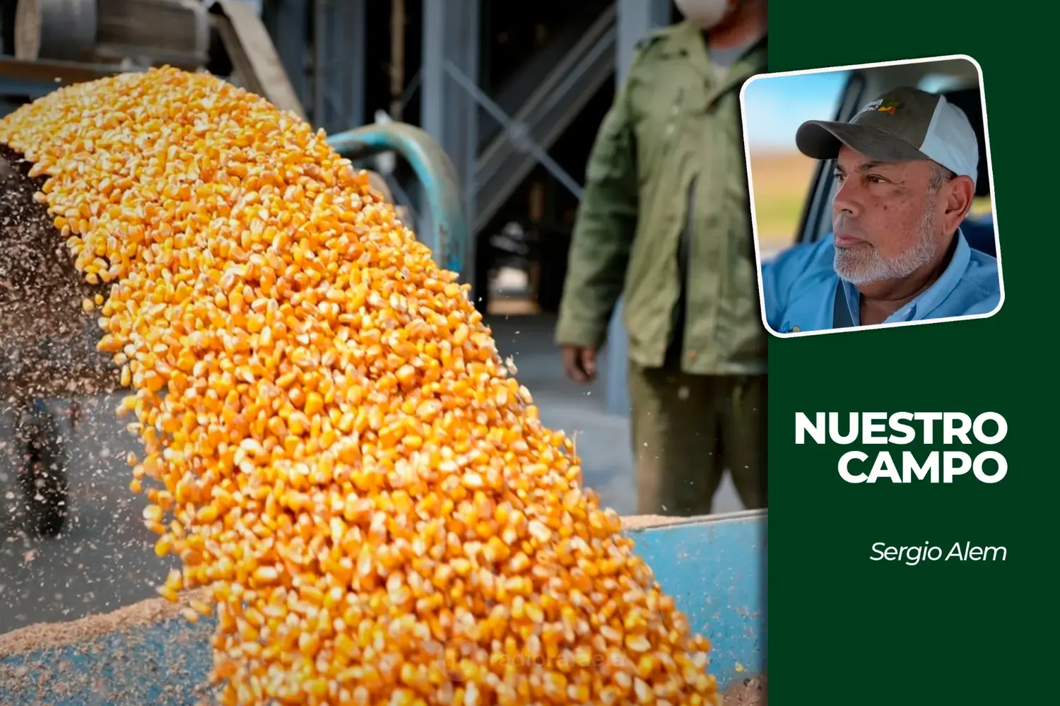 Cañuelas inició la semana sin ingresos y la soja cotizó a 500.000 pesos