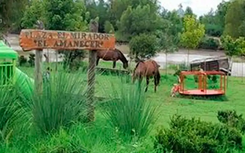 Reclamo: “Caballos donde juegan los chicos”