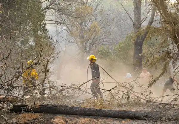 Villa Gesell. Un incendio consume el bosque