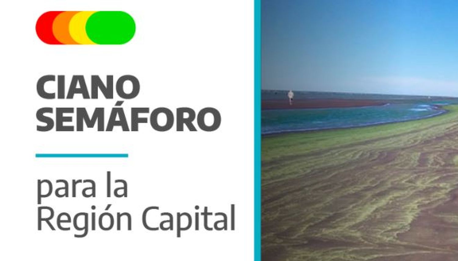 Cianobacterias en Provincia: Implementan un "cianosemáforo" online