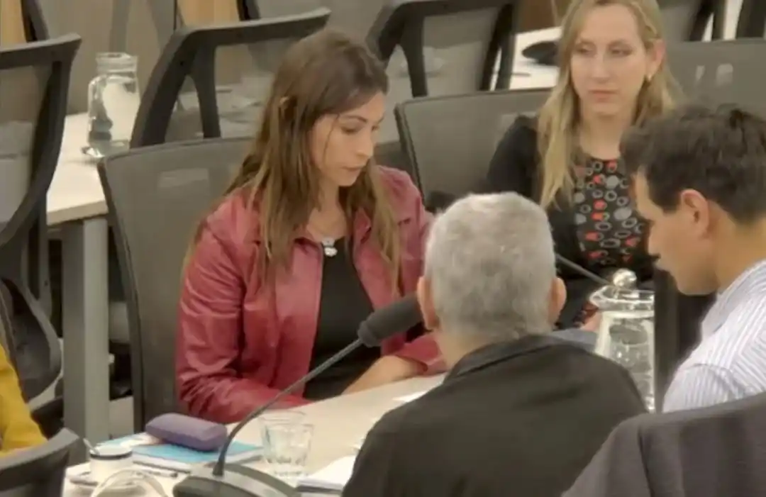 Sol Francese pidió en el Congreso una reforma profunda del sistema de salud tras la tragedia del fentanilo contaminado