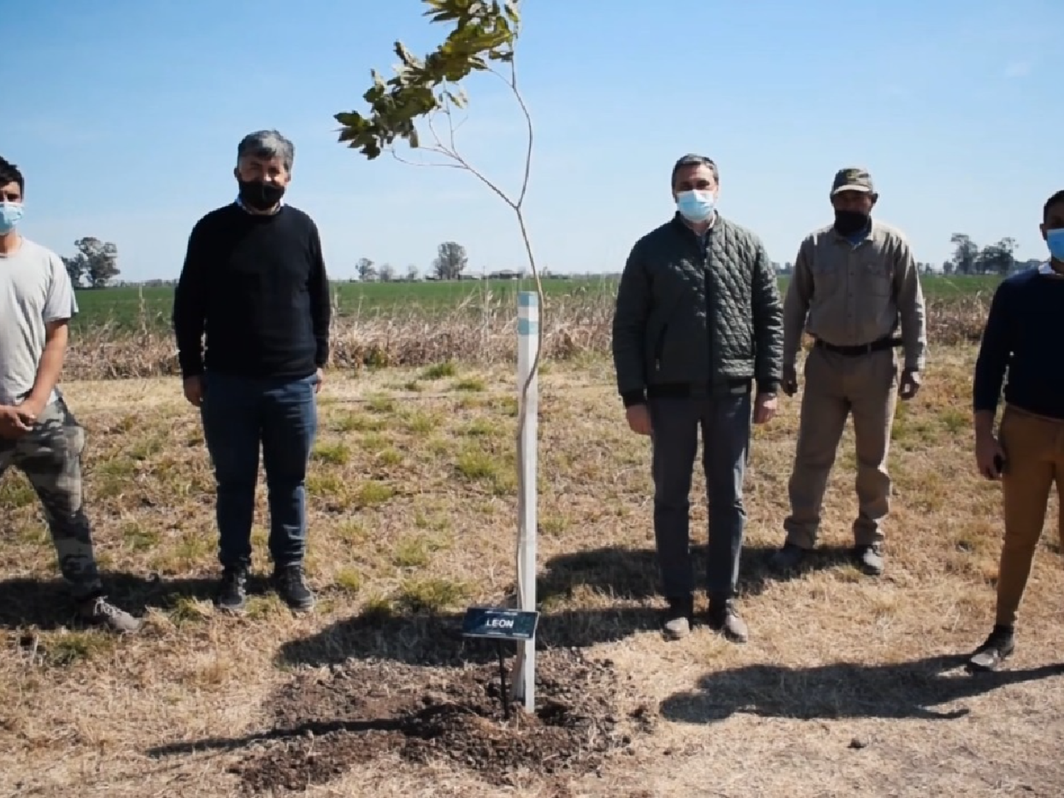 Municipios "verdes”: más árboles en los pueblos para cuidar el ambiente 