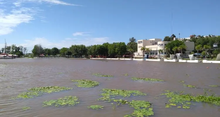Creciente: tras la sudestada, el río creció casi 30 centímetros y superó los 2,90 m