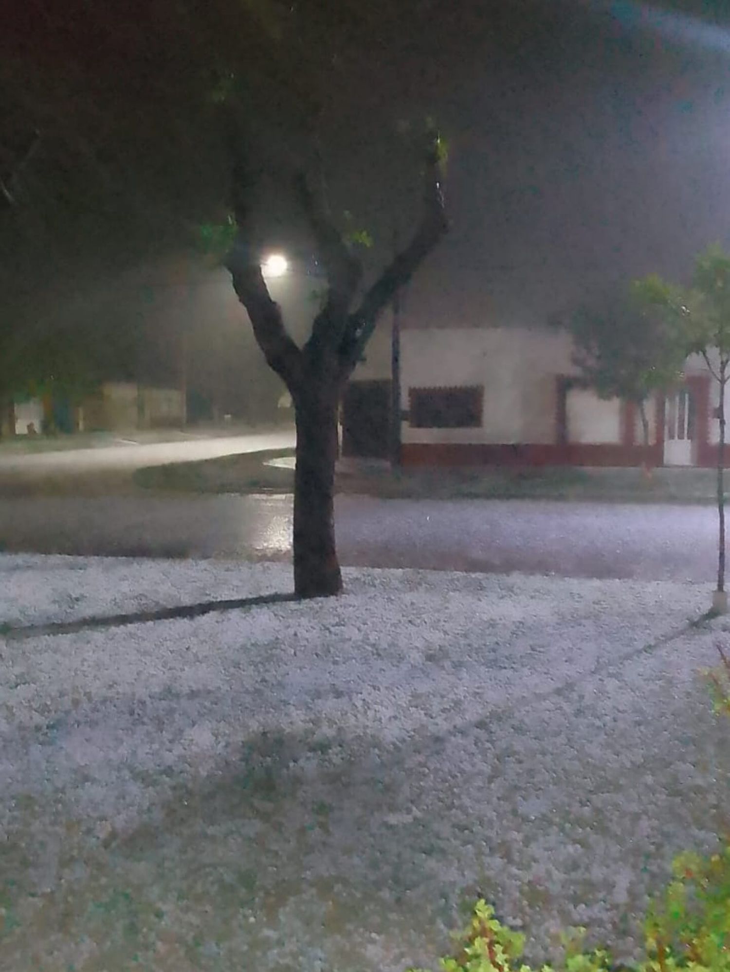 Granizo en Elortondo - 1