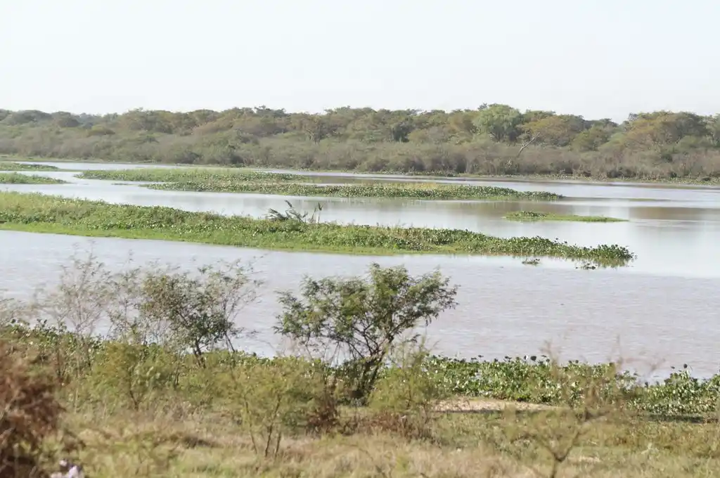 Río Ubajay. Imagen de archivo.