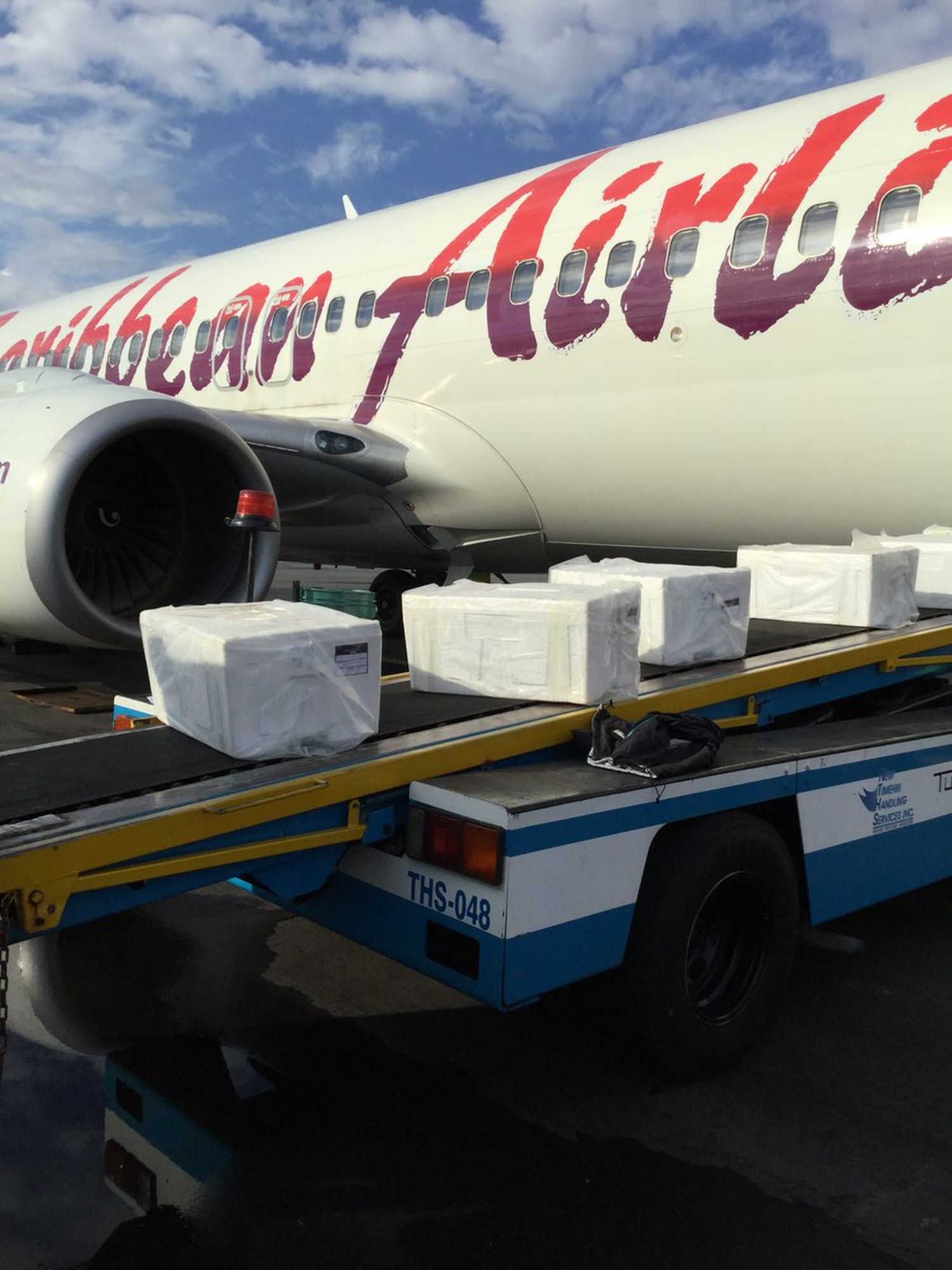 Caribbean Airlines Cargo realizará más vuelos para satisfacer la creciente demanda