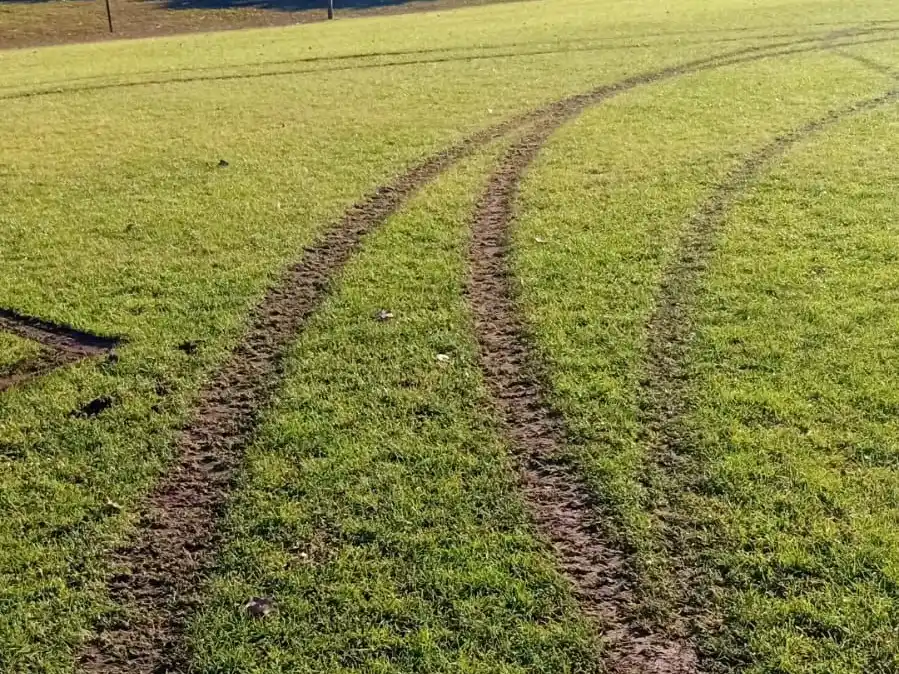 destrozos los cardos 15-06-25 - 2