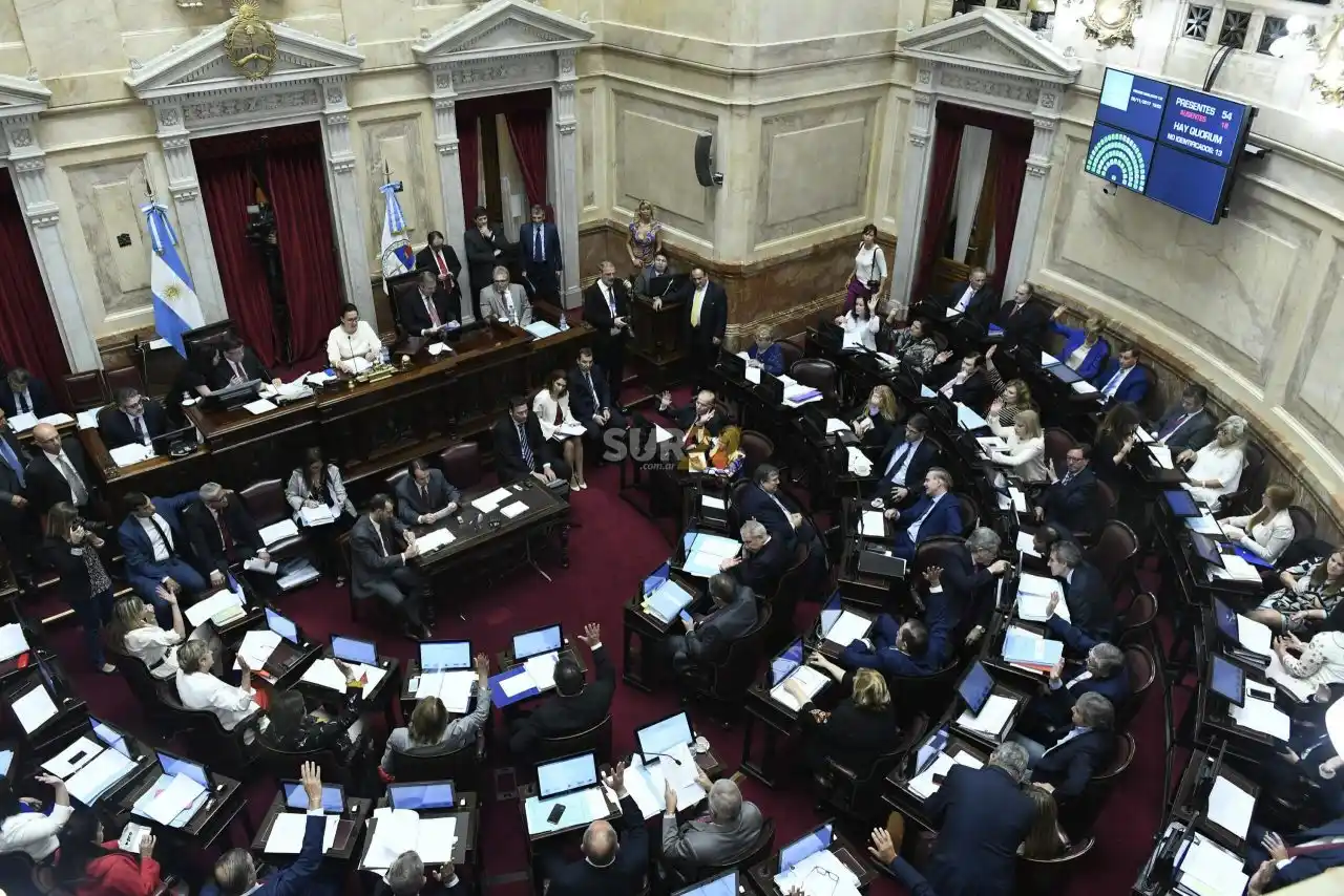 La Cámara de Senadores vuelve a la presencialidad