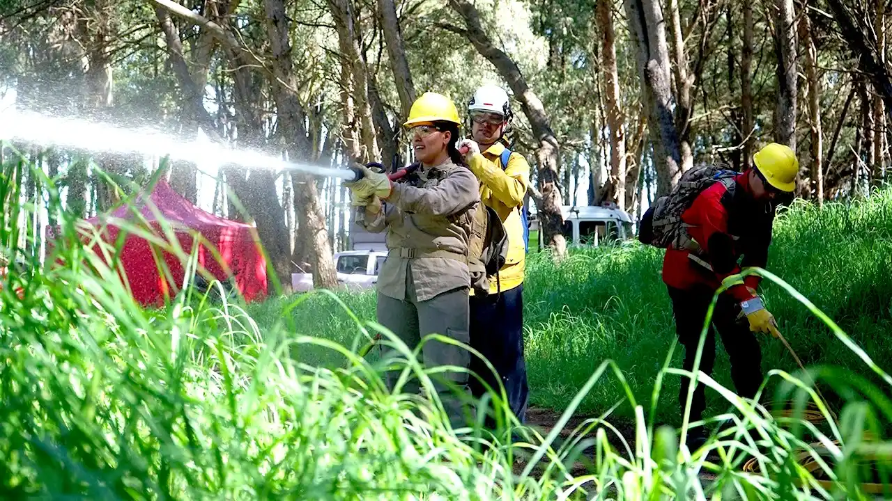 Formación específica para prevenir y actuar ante emergencias