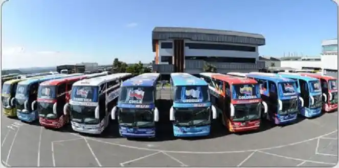 El grupo Flecha Bus se opone al retorno de los vuelos a la región