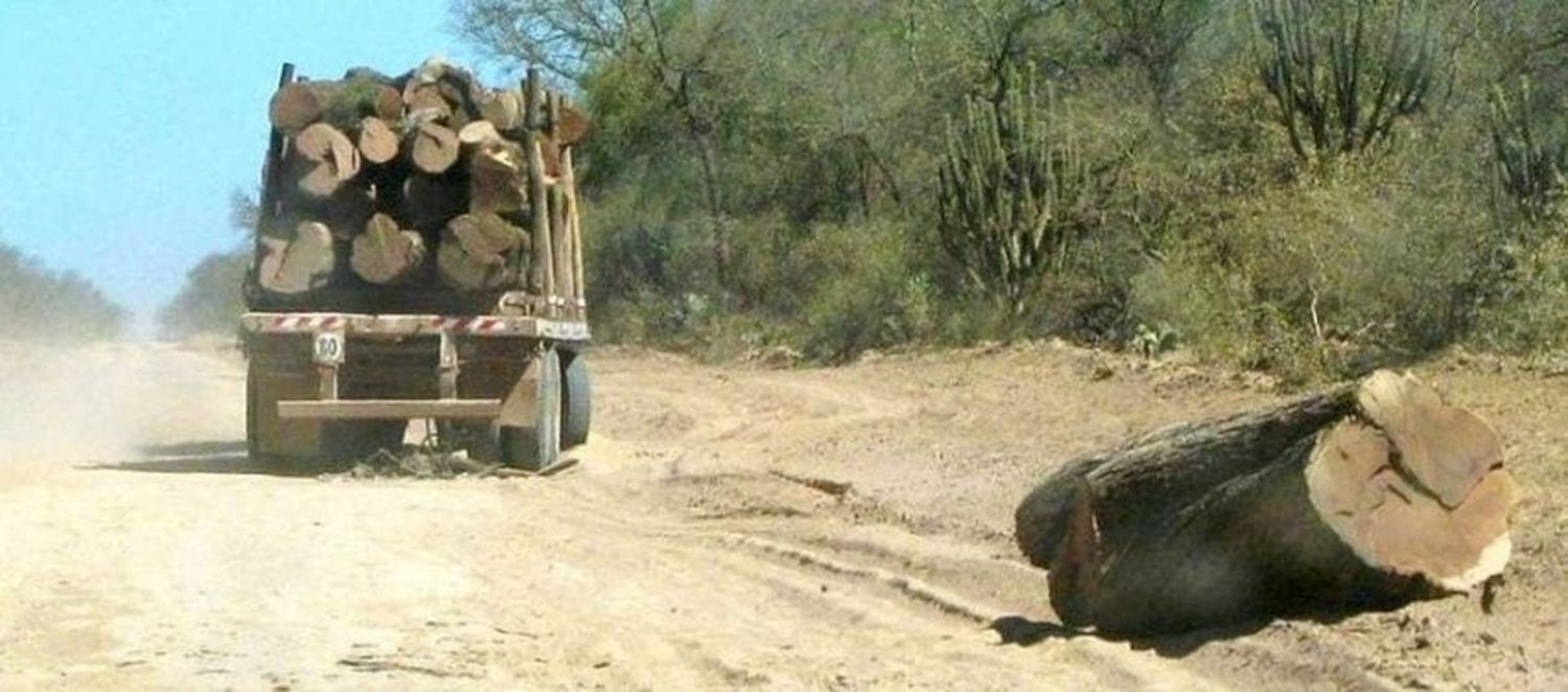 Rechazan nueva denuncia mediática de Greenpeace respecto a desmontes en Formosa