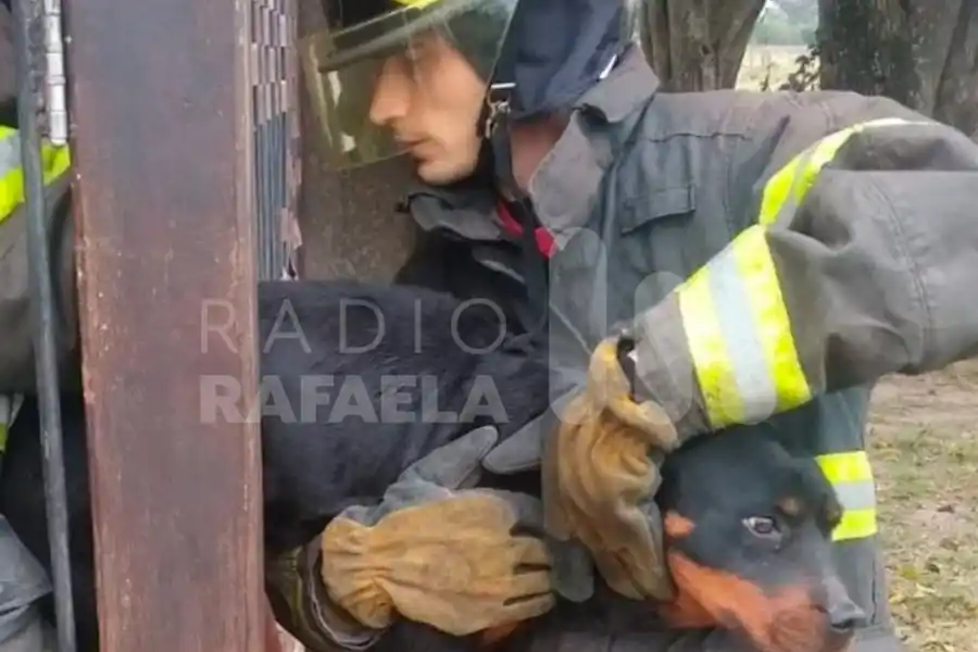 Bomberos rafaelinos rescataron un perro que se encontraba atrapado entre unas rejas
