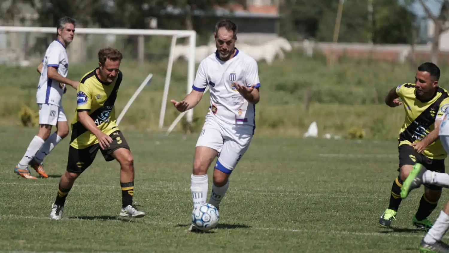 Fútbol senior 5