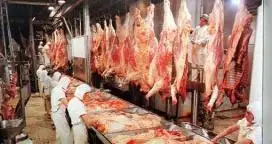 Exportaciones de carne bovina crecieron casi 30% en volumen