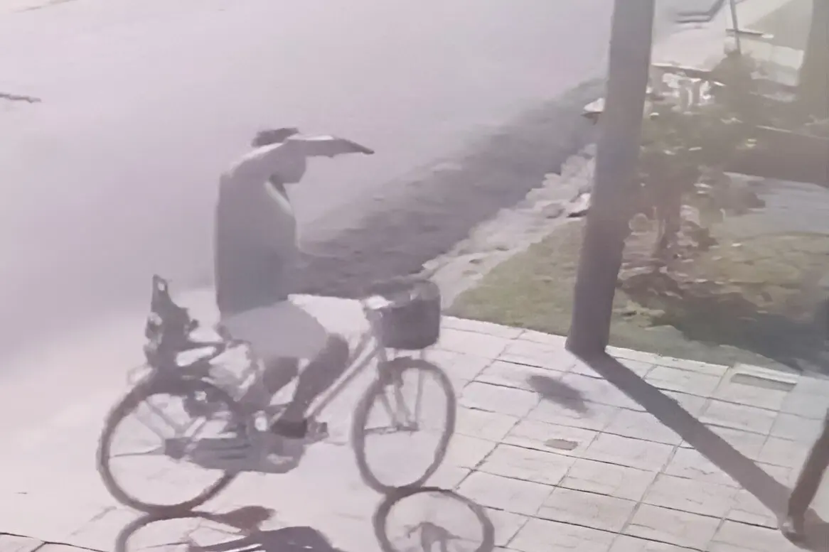 El delincuente apareció en contramano y sacó un arma para apuntar a las víctimas.