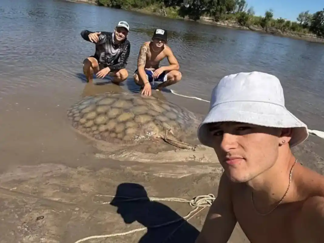 Increíble: capturaron una raya de 100 kilos en un arroyo entrerriano