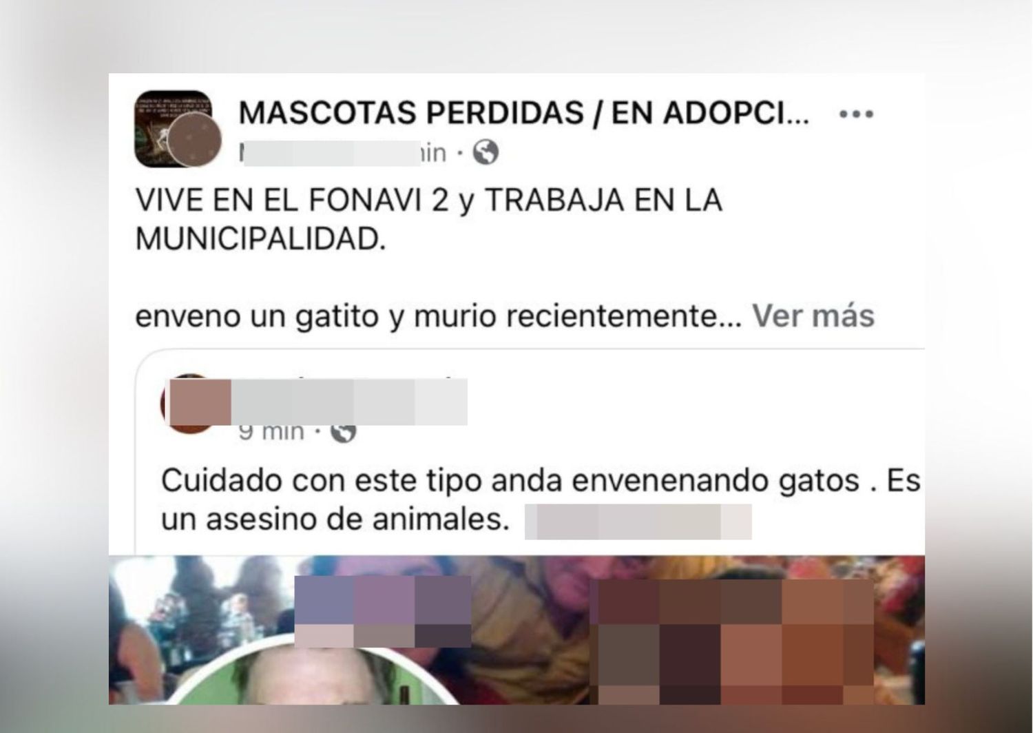 Las amenazas comenzaron a partir de la muerte de un gatito del barrio.