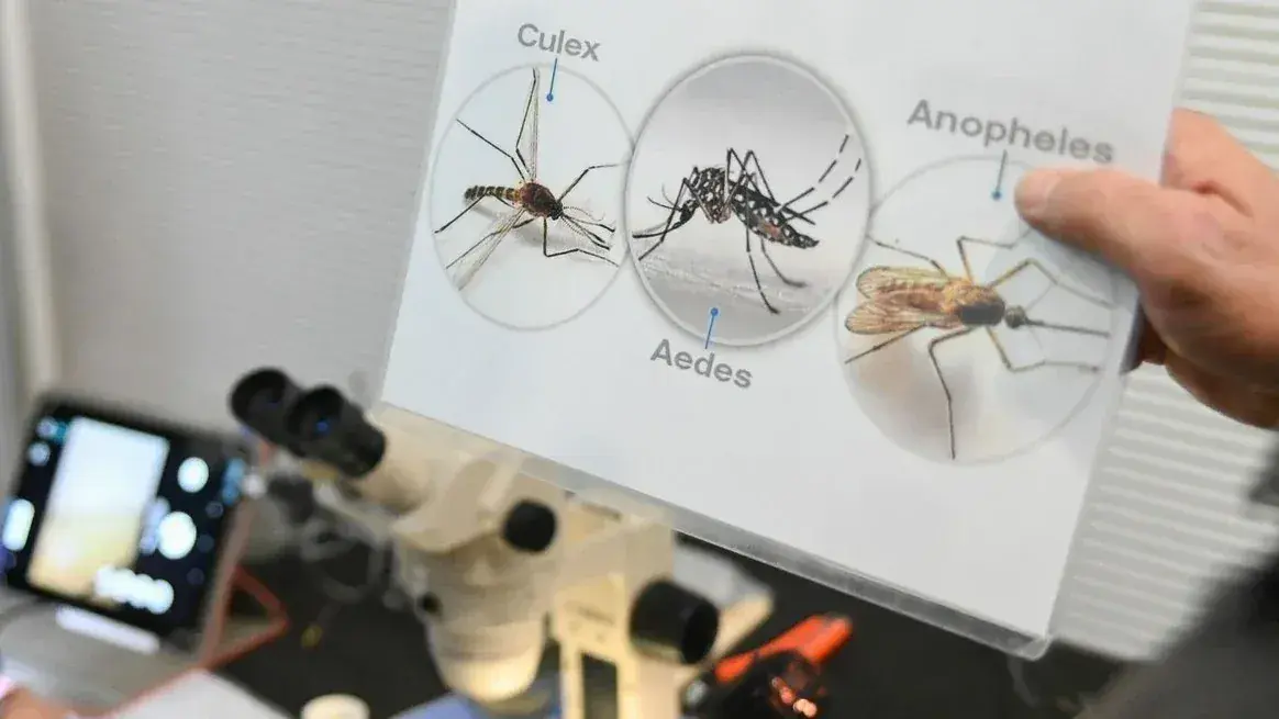 Dengue y leptospirosis bajo vigilancia en Santa Fe por el fenómeno de El Niño