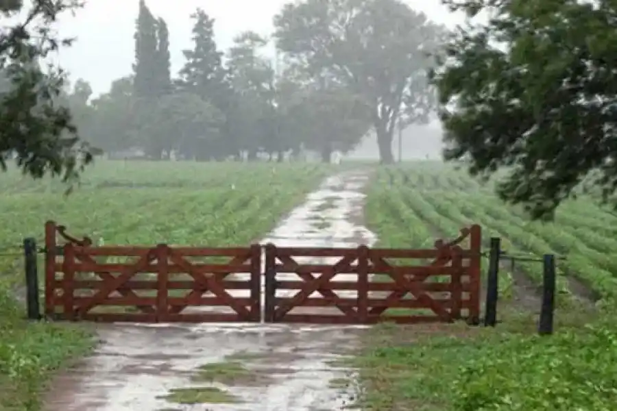 Llegó el agua y trajo alivio a los productores de la región: "ofrece un rayo de esperanza"
