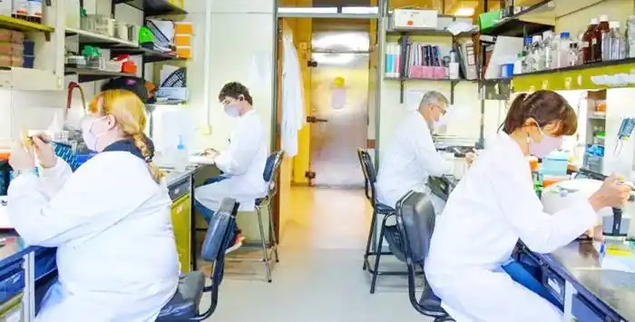 Vacuna de segunda generación argentina contra el coronavirus 
