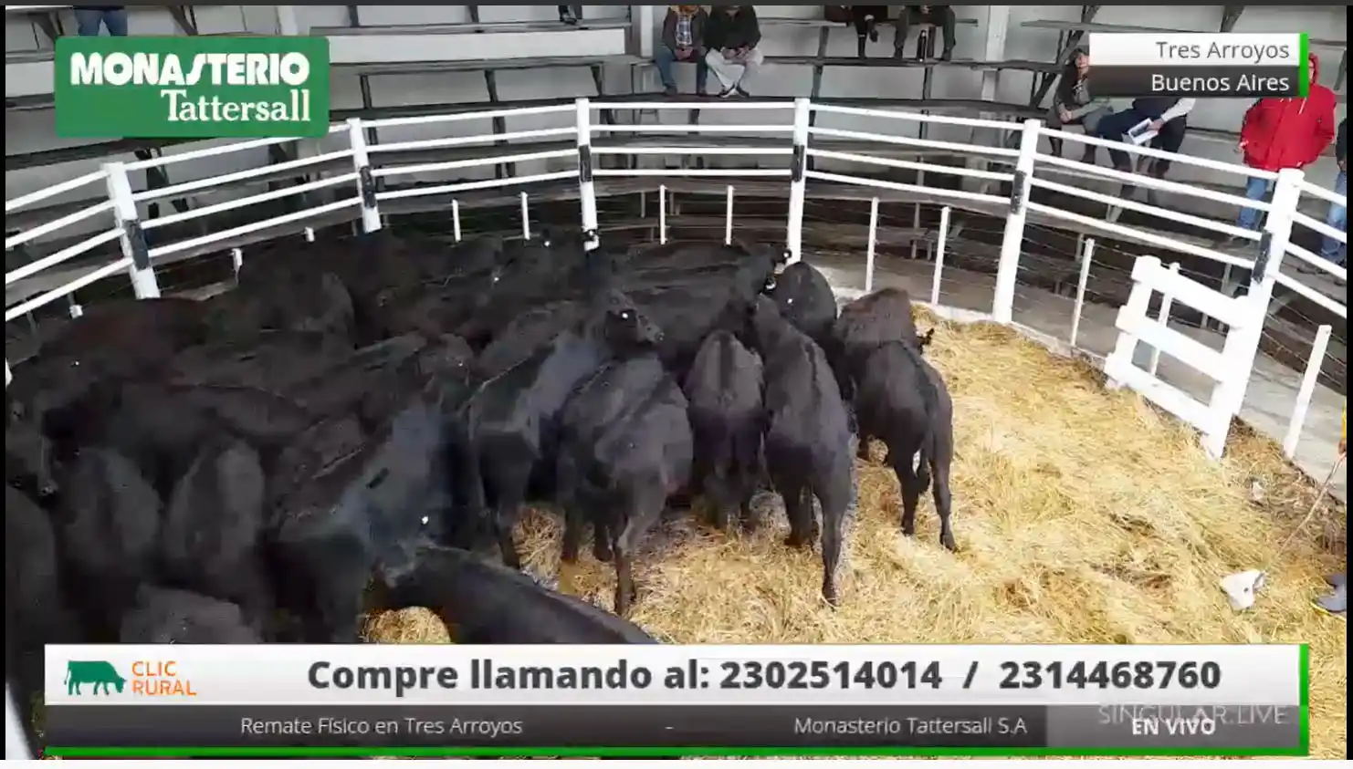 Monasterio se lleva muy bien con el remate mixto