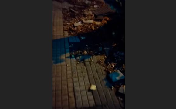 Veredas rotas: “Qué triste es caminar por San Pedro”