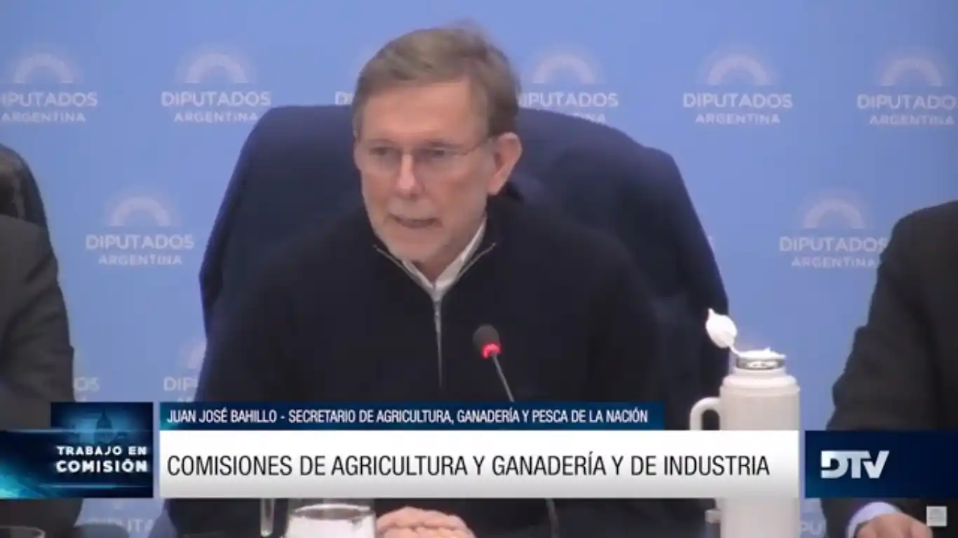 Bahillo en Diputados: "La Ley Agroindustrial ayudará al desarrollo de las economías regionales"
