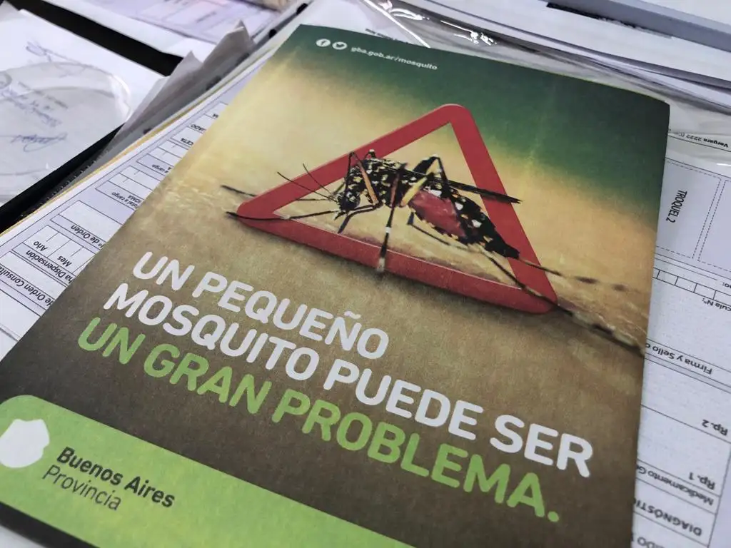 Fumigar, un recurso no recomendable para prevenir la propagación del mosquito del dengue en una etapa de no proliferación de la enfermedad.