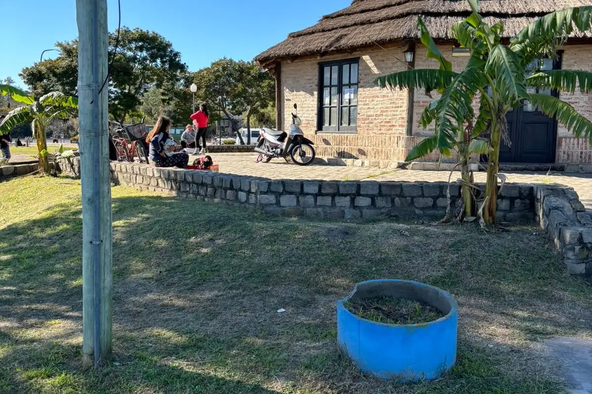 Trasladaron el centro municipal de Salud Animal y Zoonosis: dónde realizar las castraciones de perros y gatos