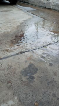 Pérdida de agua