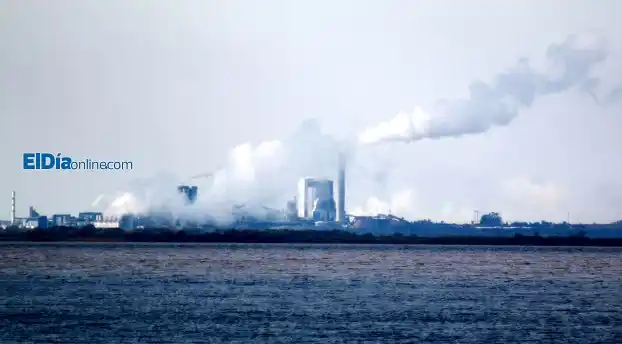 Buscan instalar otra mega fábrica de celulosa en Uruguay