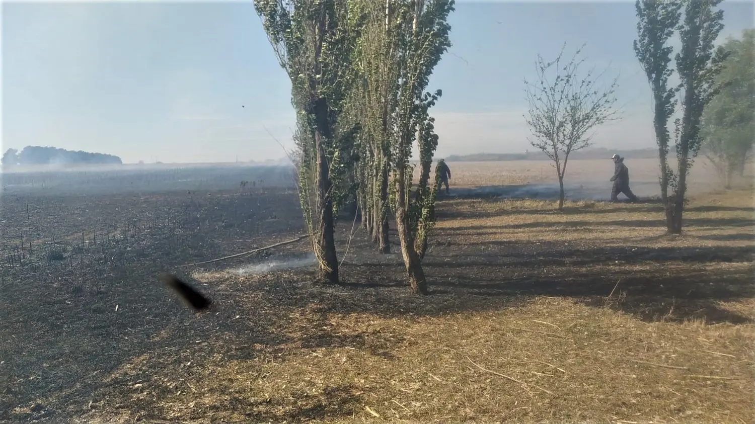 Bomberos intervino en más de 90 incendios forestales en los últimos tres meses