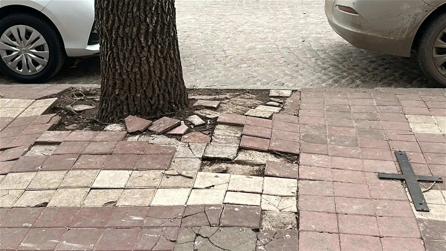 vereda rota bv santa fe centro rafaela municipalidad reparación rotura mayo 2025 - 14