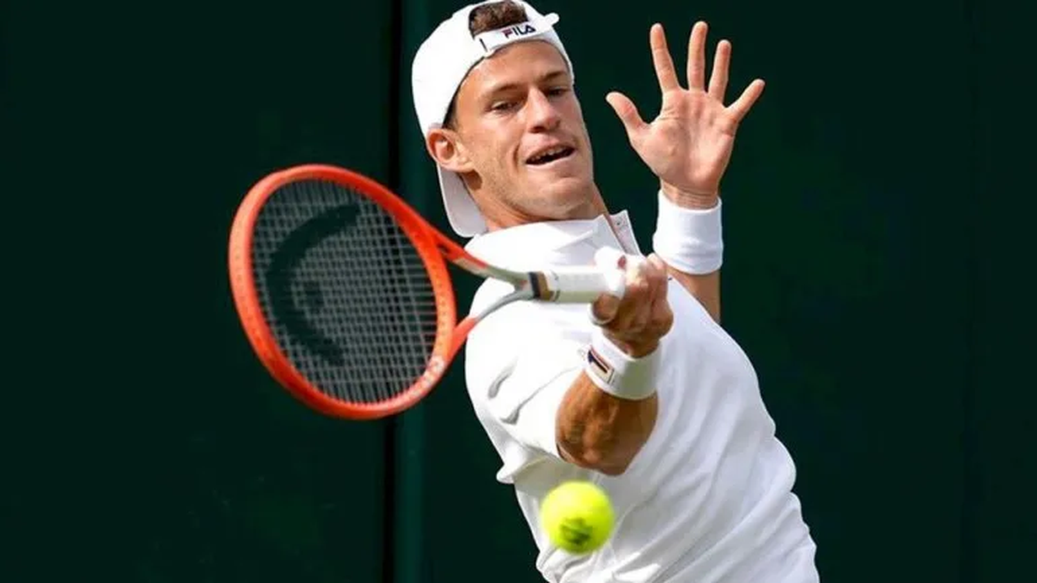 Diego Schwartzman ganó y está en octavos de final