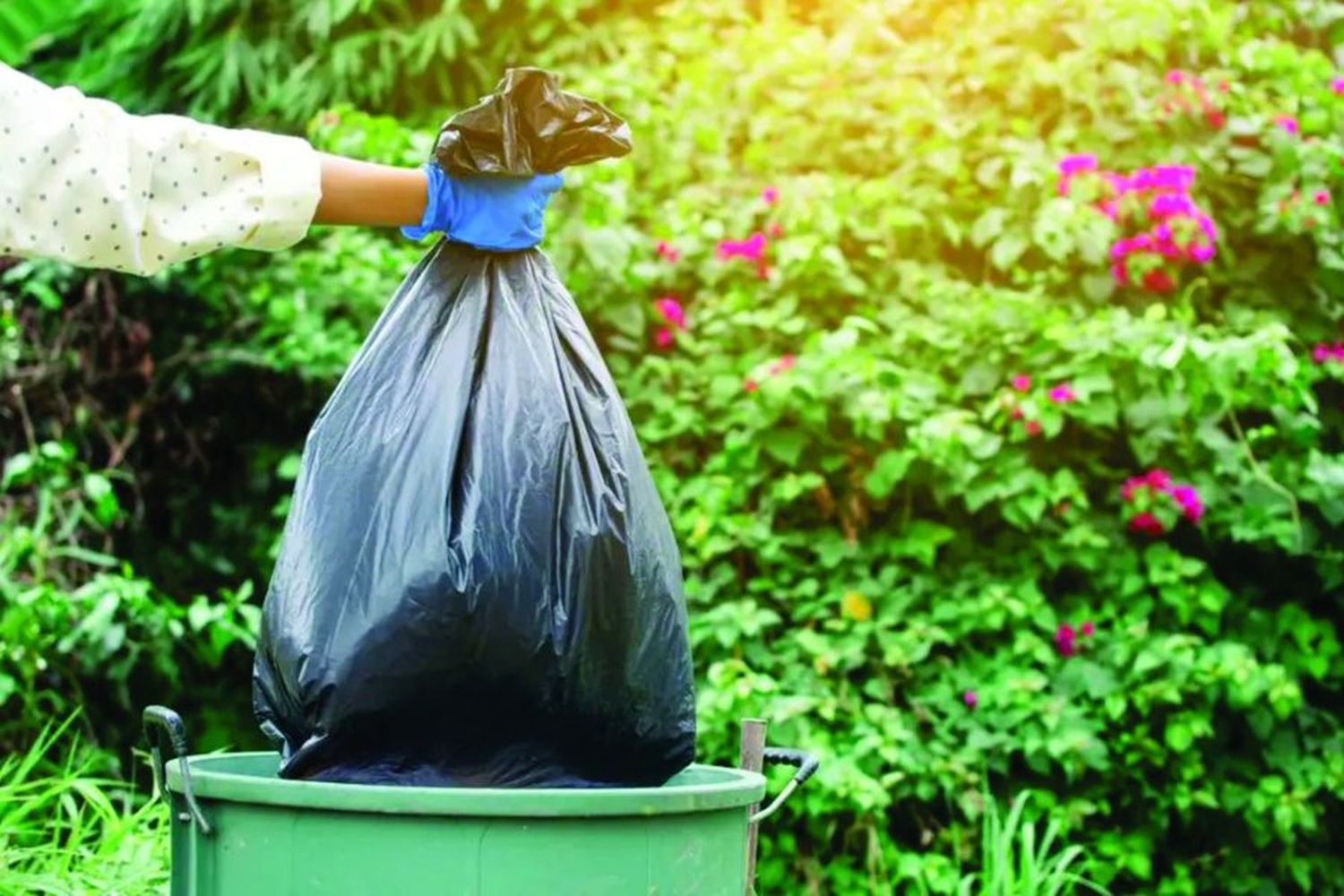 Recolección de residuos de patios: una ciudad limpia es compromiso de todos