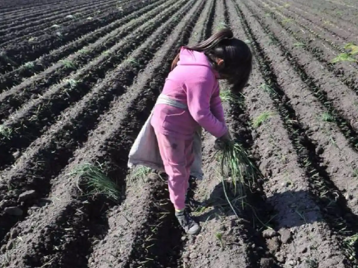 El Renatre denunció trabajo infantil y explotación laboral de menores en el norte provincial