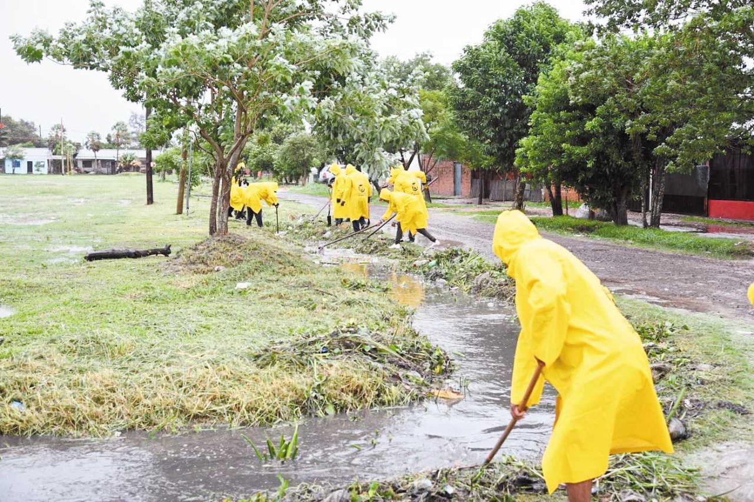 Acciones de limpieza y desobstrucción 
de los desagües pluviales en la ciudad