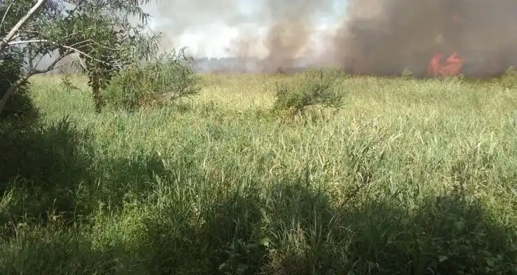 Por incendio en zona de Los Lobos Prefectura envió una embarcación