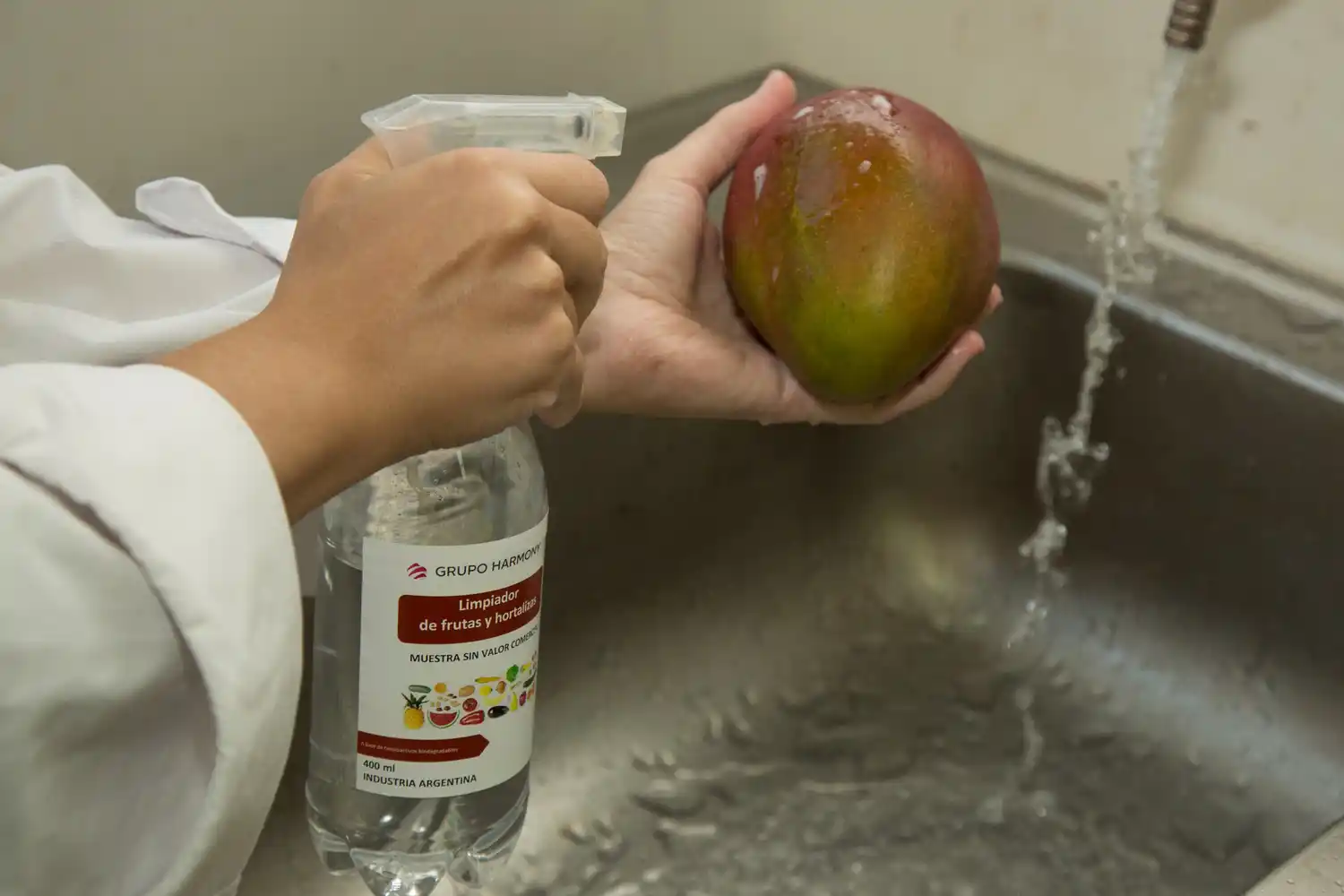 Desarrollan un novedoso limpiador que alarga la vida de frutas y hortalizas
