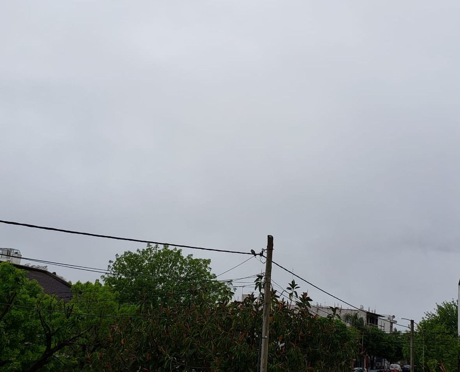 Sigue la lluvia